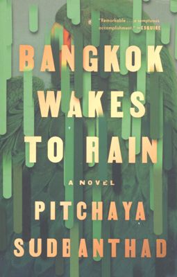 Bangkok wakes to rain : a novel